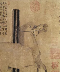 Nachtleuchtendes Weiß, Tang-Dynastie (618-907) ca. 750 (Tinte auf Papier)